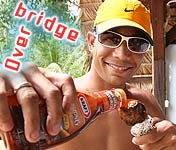 20060414 - Overbridge Part V