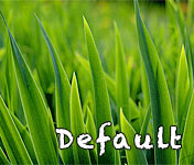 20031231 - Paramaribo, Suriname - Domineestraat